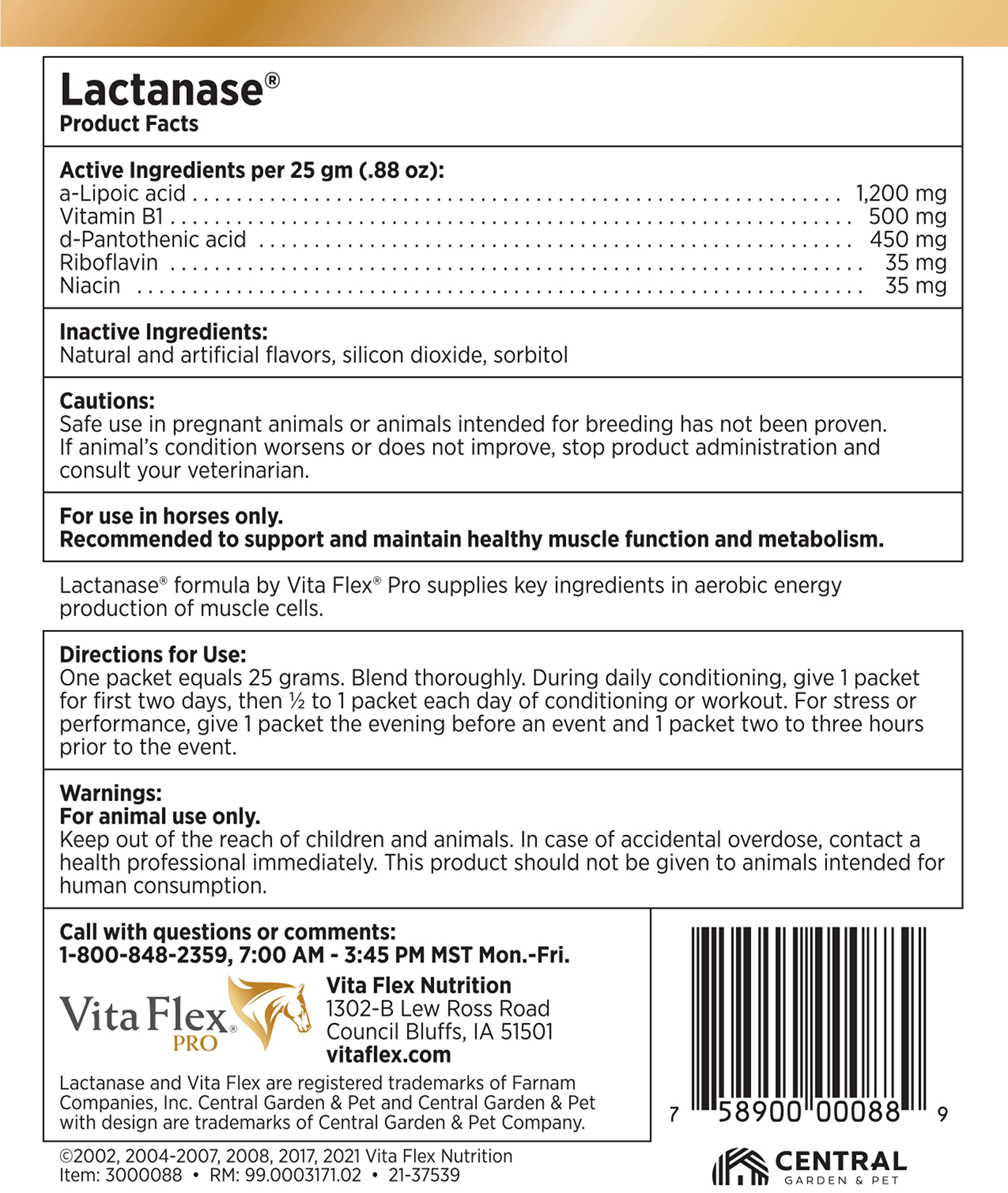 Horse in competition scene powered by Vita Flex Lactanase regimen.