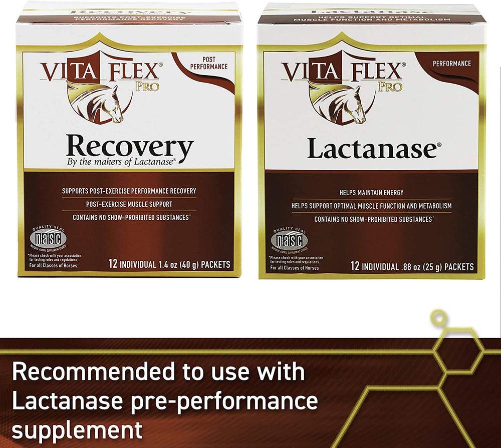 Ingredients list close-up for Vita Flex Lactanase showing energy components.
