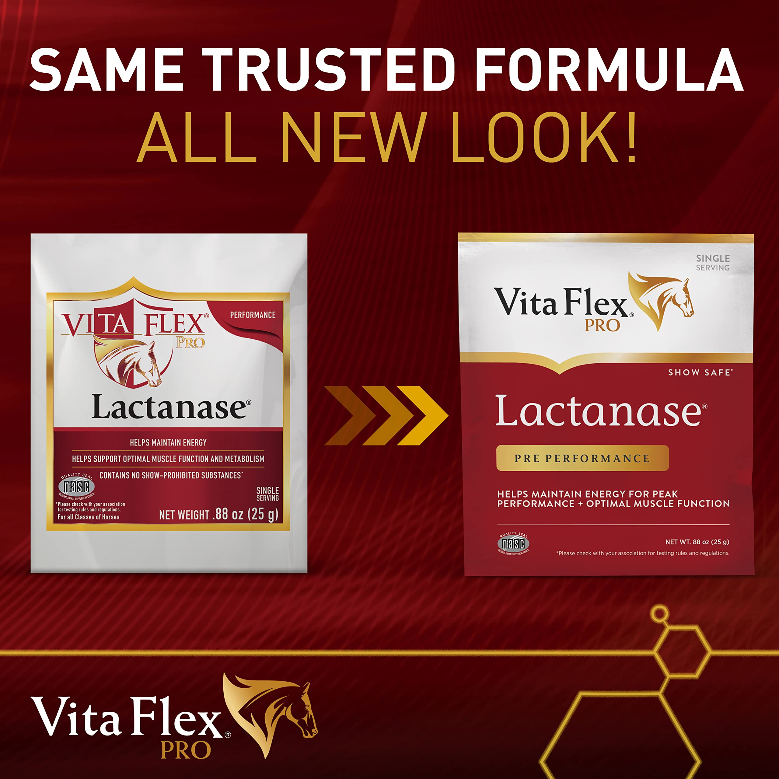 Vita Flex Lactanase single 25g packet, portable energy for workouts.