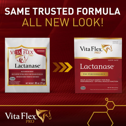 Vita Flex Lactanase single 25g packet, portable energy for workouts.