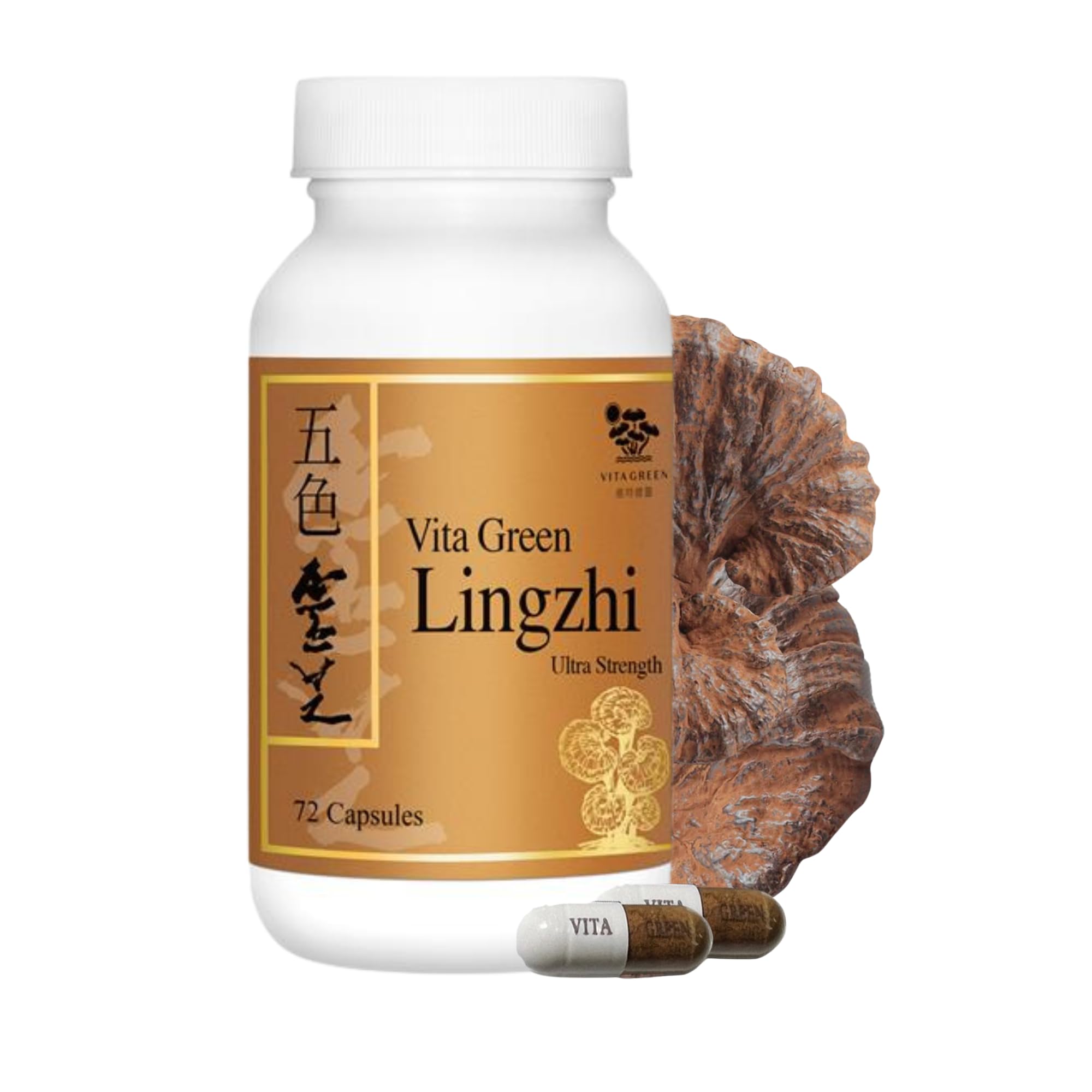Vita Green Lingzhi bottle front view suggesting daily energy support