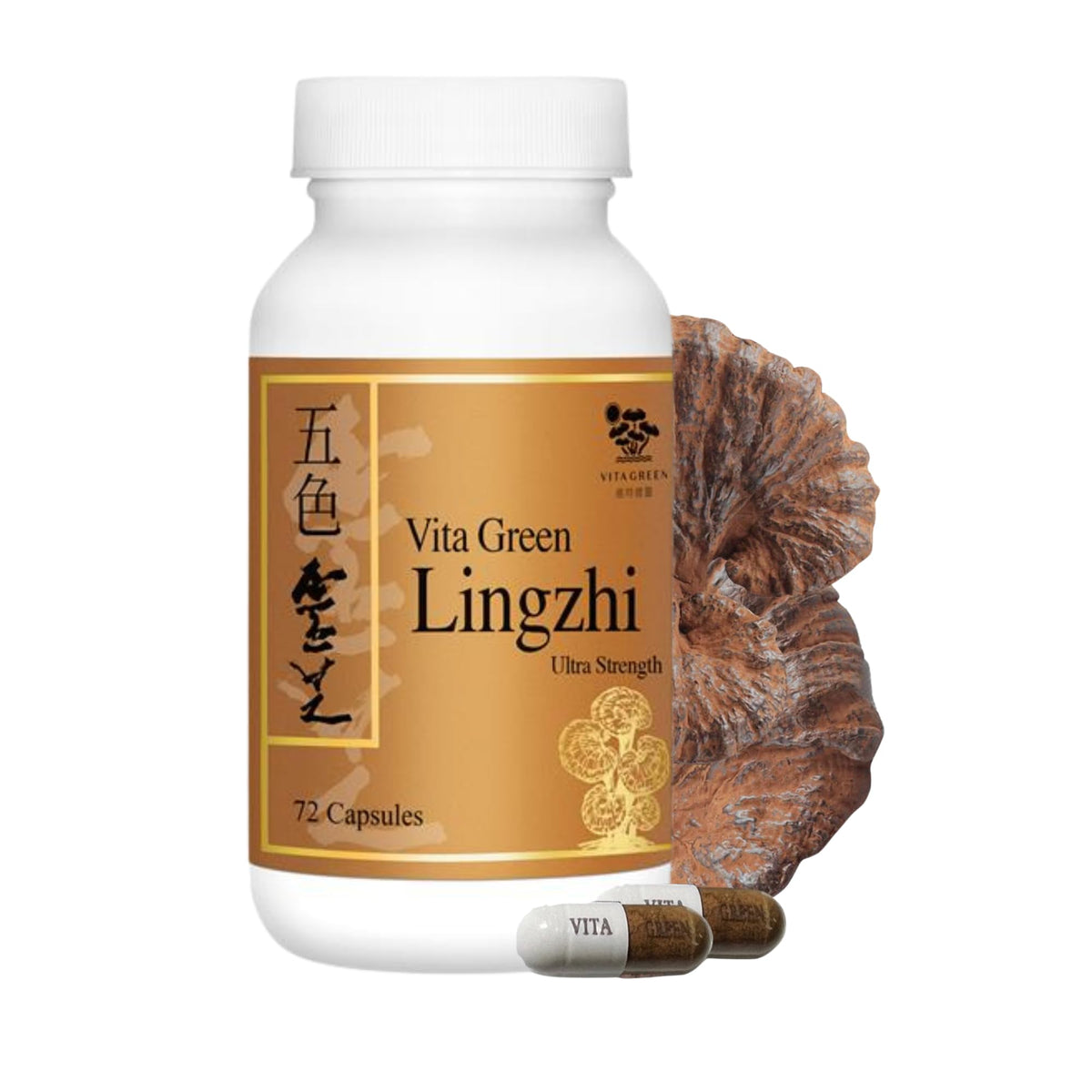 Vita Green Lingzhi bottle front view suggesting daily energy support