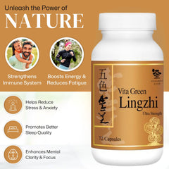 Vita Green Lingzhi capsules close-up highlighting antioxidant-rich formula