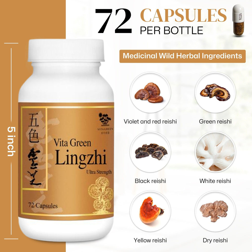 Vita Green Lingzhi capsules in hand for on-the-go energy