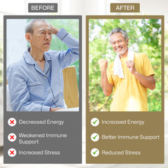 Vita Green Yin Yang Cordyceps health scene hints at balanced vitality and focus.
