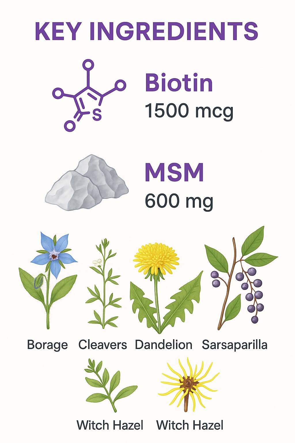 Vita4Life Biotin MSM capsules close-up highlighting the easy-to-swallow format.