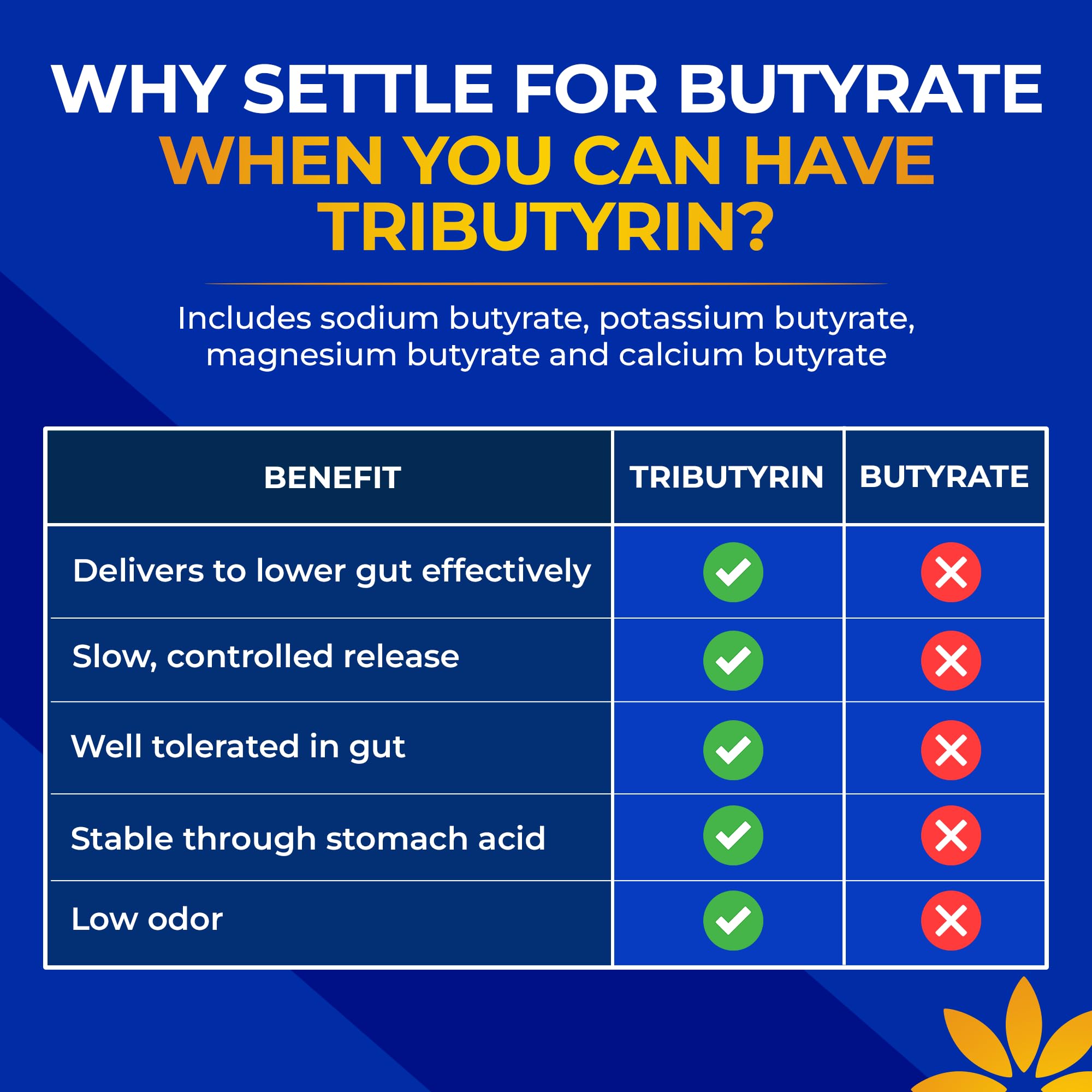 Vita Bloom Labs Tributyrin label details with dosage and ingredients.