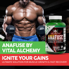 Vital Alchemy Anafuse epicatechin capsules highlight lean muscle support and faster post-workout recovery.