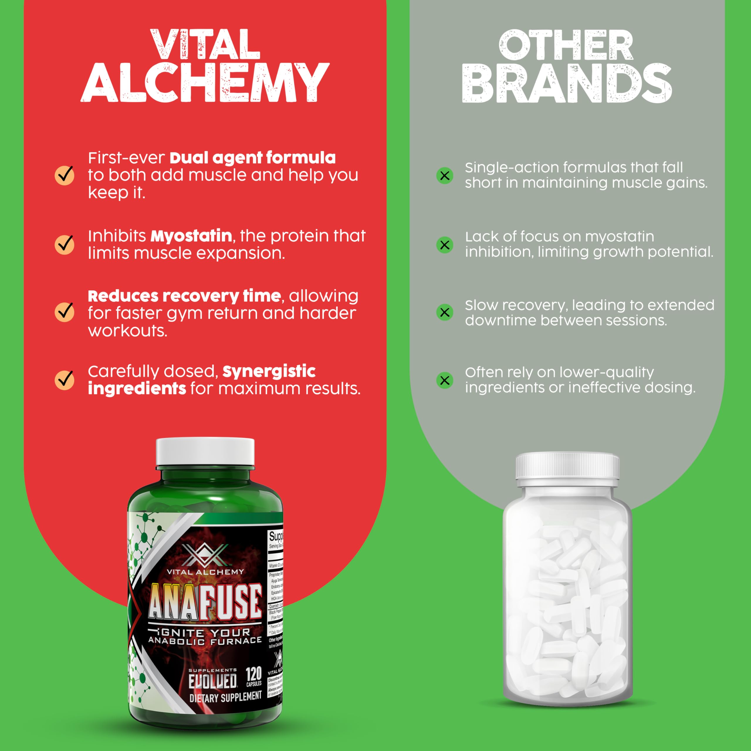 Vital Alchemy Anafuse in a gym setting illustrates potential endurance and performance support.