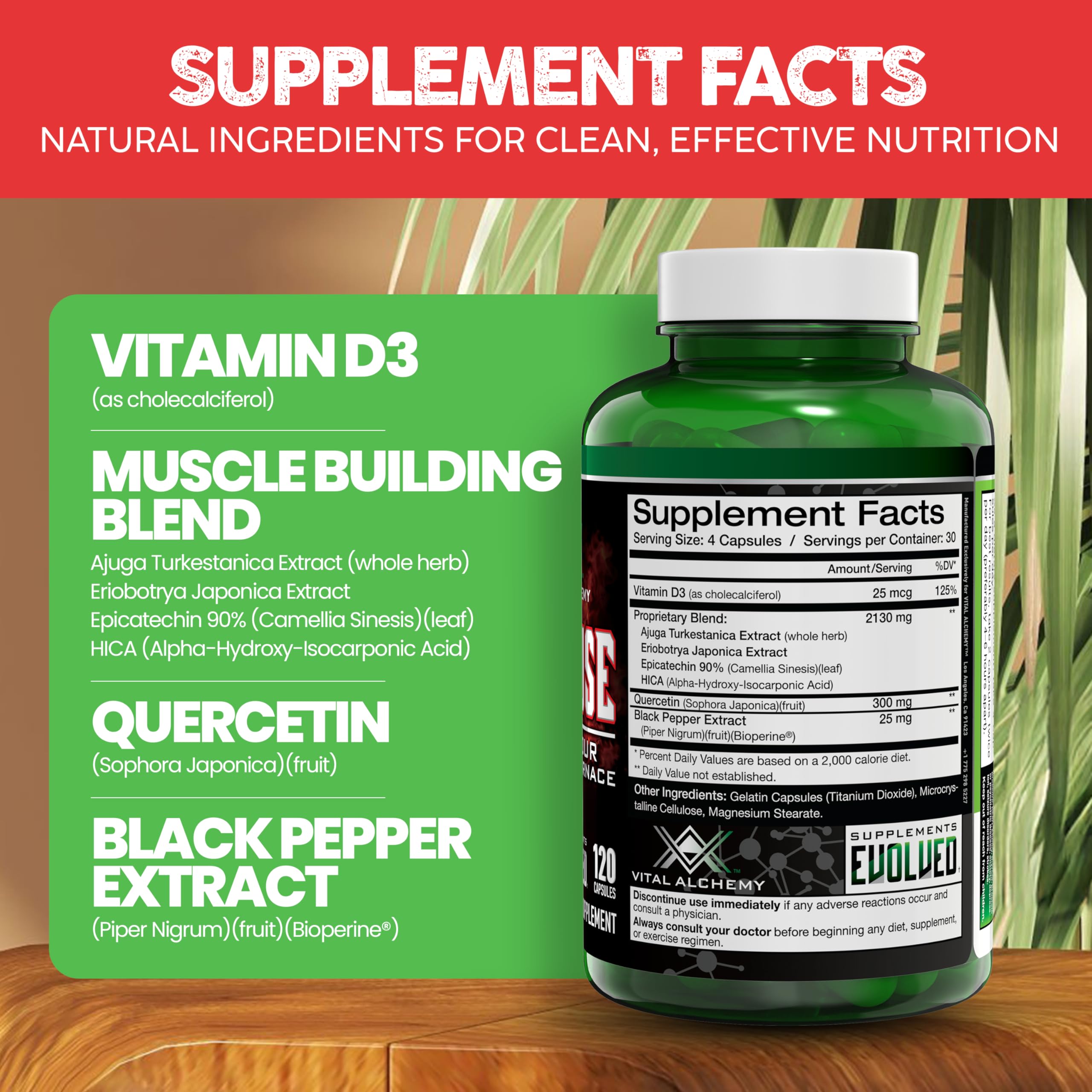 Vital Alchemy Anafuse vegan capsules displayed to reinforce plant-based, cruelty-free wellness options.