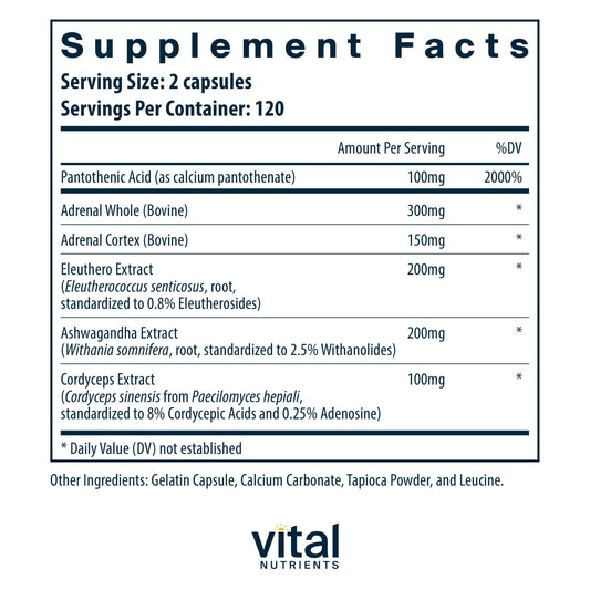 Closeup of Vital Nutrients Adrenal Support capsules highlighting the capsule texture and purity.