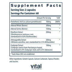 Vital Nutrients Adrenal Support capsules ready for daily energy balance.