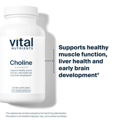 Vital Nutrients Choline 550mg vegan formula label showing clean ingredients