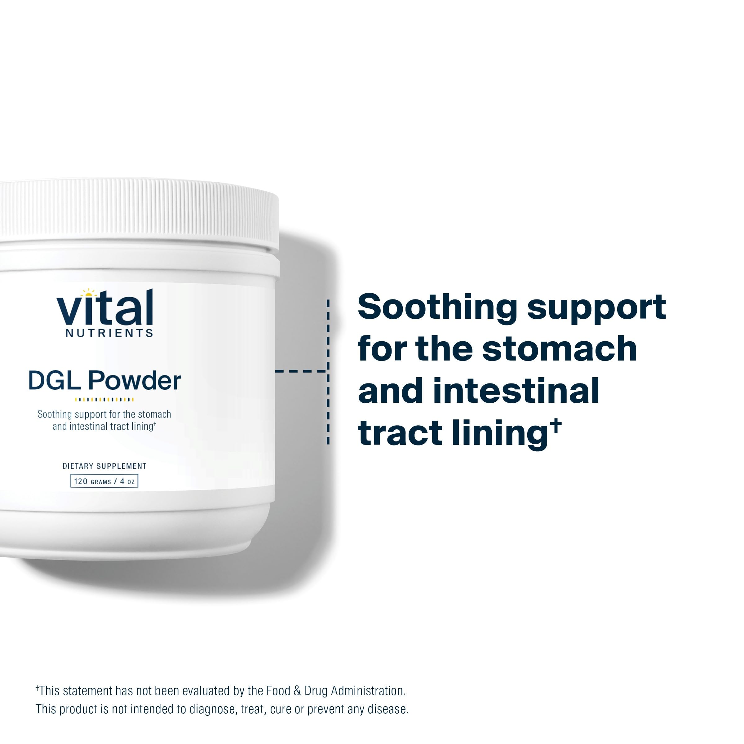 Vital Nutrients DGL powder collection hero showcases vegan, allergy-friendly GI support in routines.