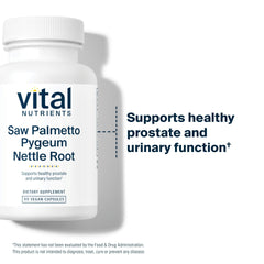Vital Nutrients prostate support in daily use for balanced urinary rhythms.