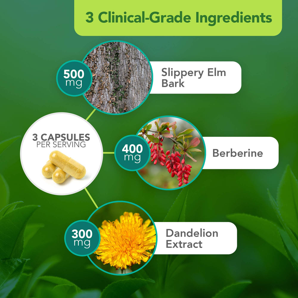 Vital Plan berberine dandelion capsules closeup emphasizing natural digestive support