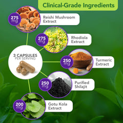 Vital Plan Daily Herbal Supplement capsules offer convenient, everyday resilience