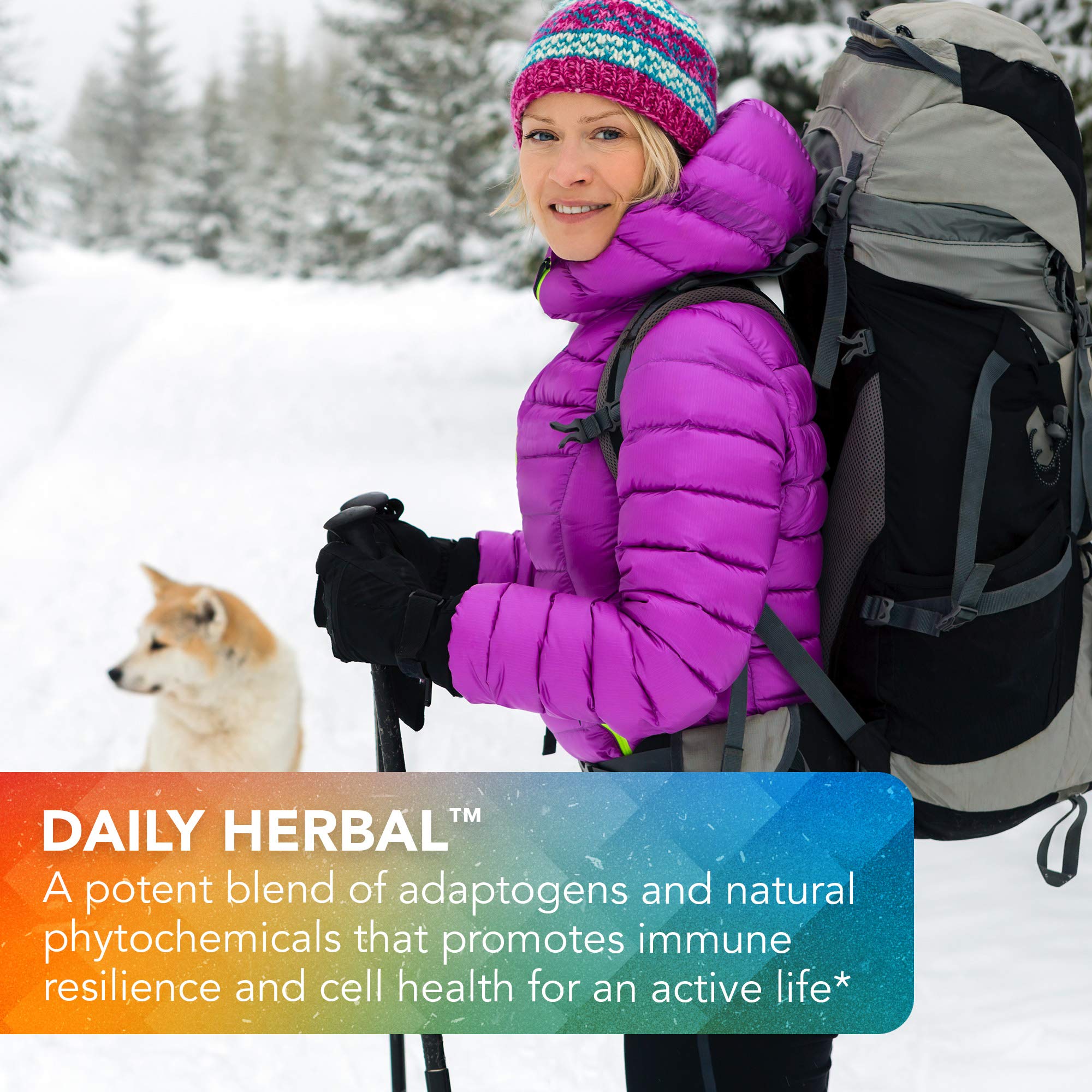 Vital Plan Daily Herbal Supplement ingredients reishi showcases adaptogenic support
