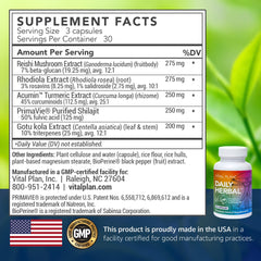 Vital Plan Daily Herbal Supplement label closeup communicates transparent ingredients and trusted formulation