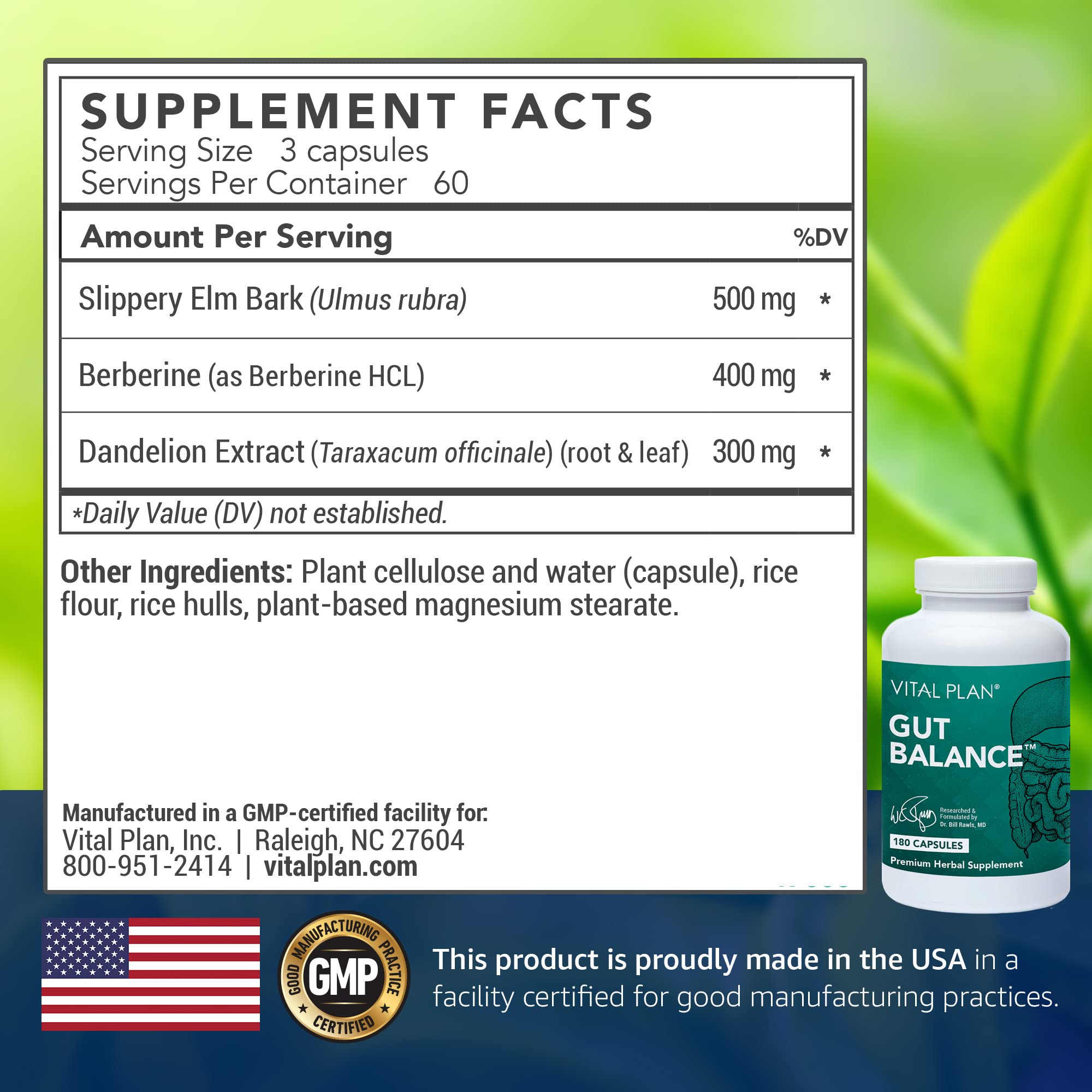 Vital Plan Gut Balance bottle-label closeup showing transparent ingredient listing