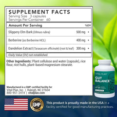 Vital Plan Gut Balance bottle-label closeup showing transparent ingredient listing