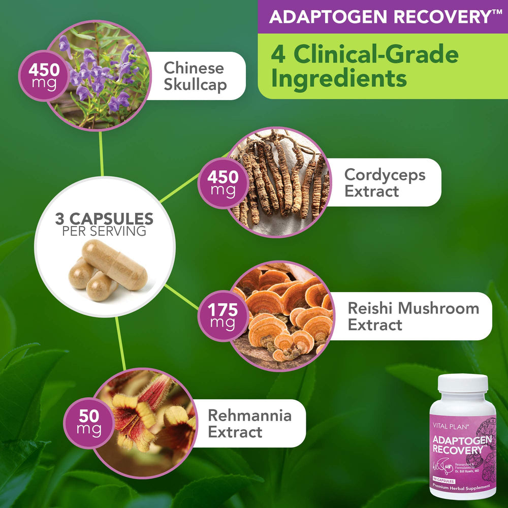 Vital Plan Japanese Knotweed capsules for botanicals supporting immune wellness.