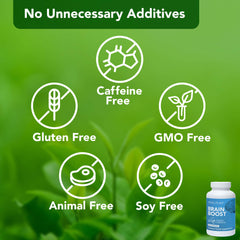Vital Plan Lions Mane capsules closeup suggesting cognitive focus support.