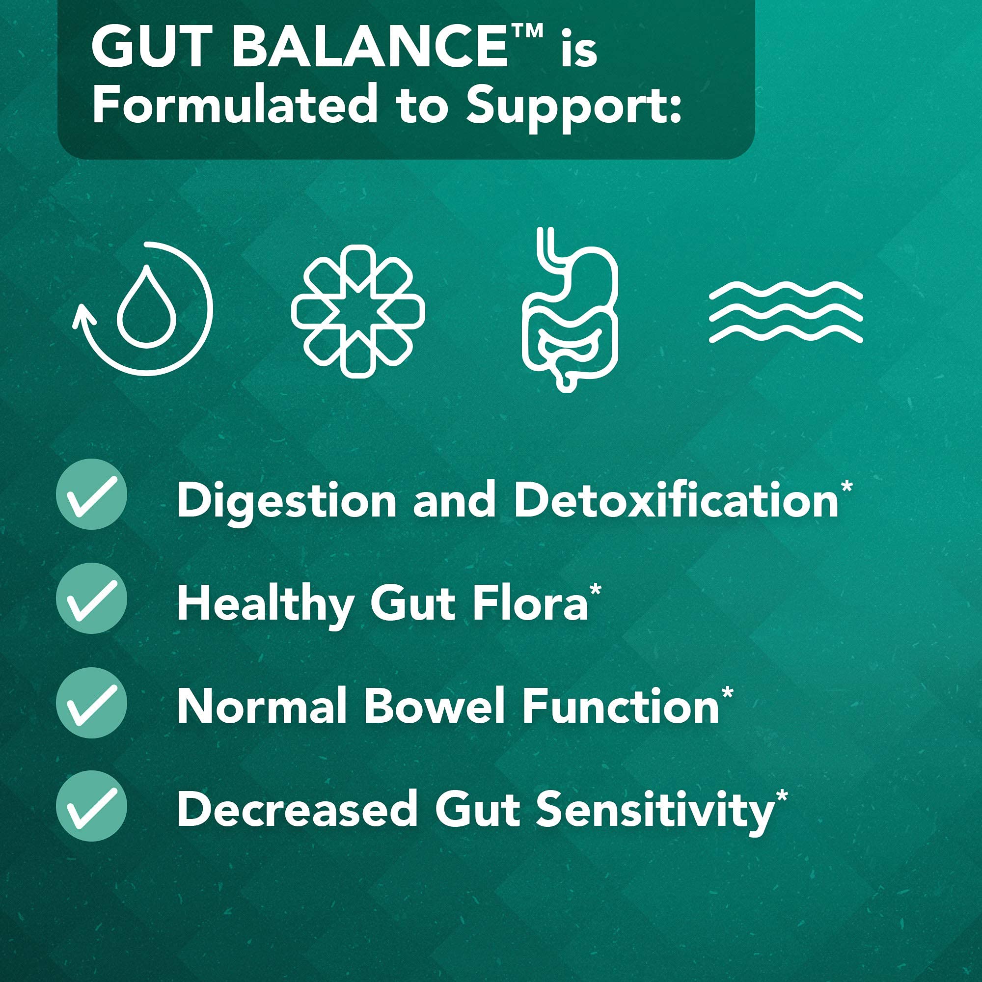 Vital Plan nutrient absorption illustration highlighting improved nutrient uptake