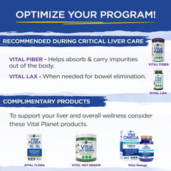 Vital Planet Critical Liver Care daily-use scene in a lifestyle setting.