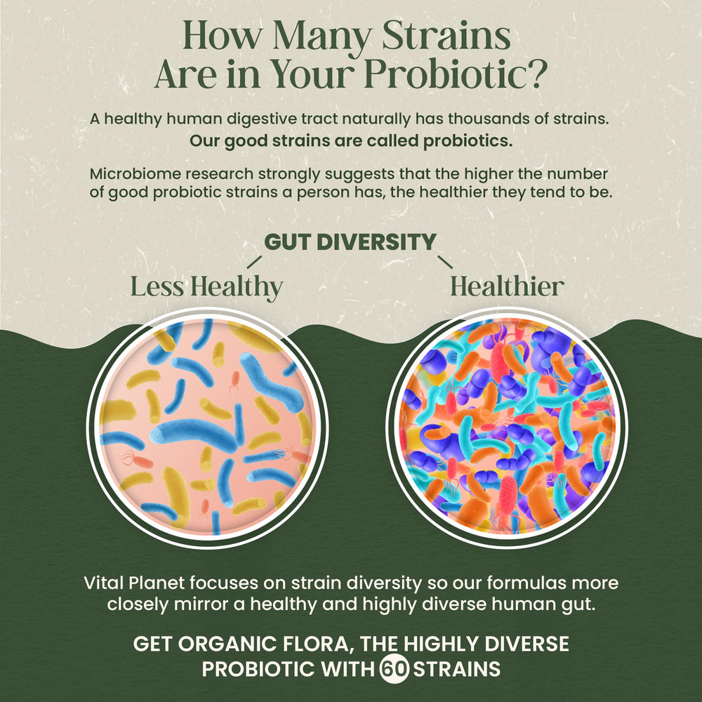 Vital Planet Organic Flora Probiotics organic prebiotic mushroom blend supports nourishment and balance.