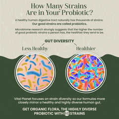 Vital Planet Organic Flora Probiotics organic prebiotic mushroom blend supports nourishment and balance.