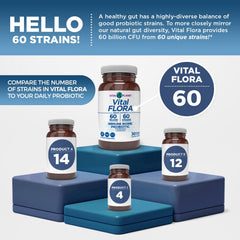 Vital Planet organic mushrooms blend image highlighting functional mushrooms for immune-friendly support