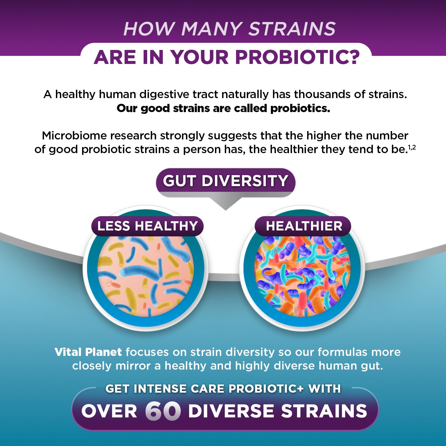 Vital Planet Shelf-Stable Probiotic Capsules for convenient daily use.