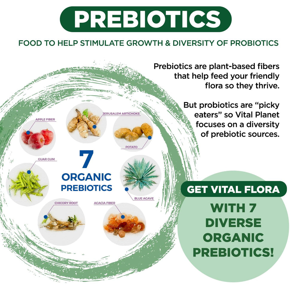 Vegan, non-GMO, gluten-free formula supports clean probiotic intake.