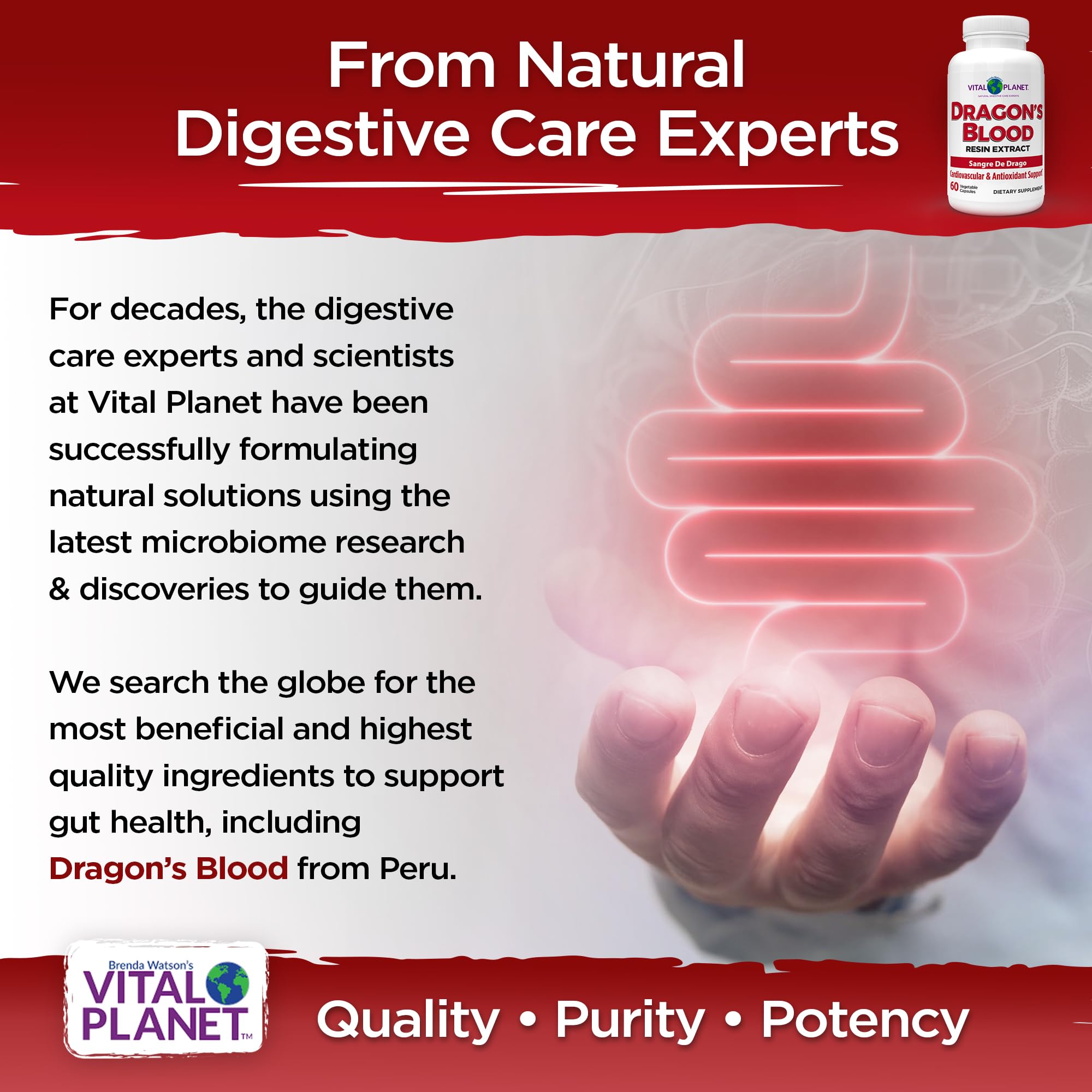 Vital Planet vegetarian capsules; vegan, non-GMO, clean daily supplement