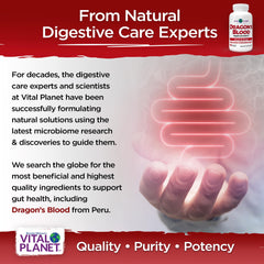 Vital Planet vegetarian capsules; vegan, non-GMO, clean daily supplement