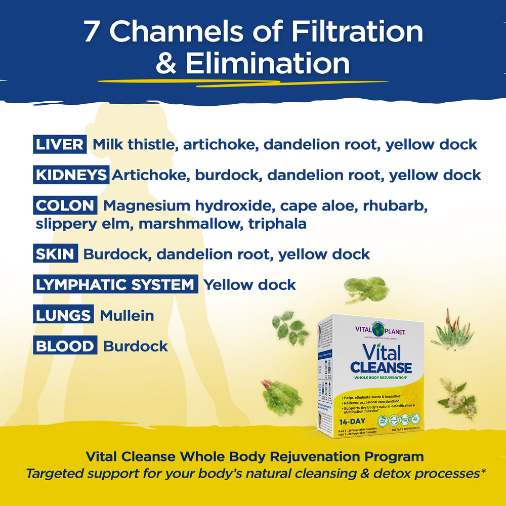 Vital Planet Vital Cleanse capsules with water illustrating a daily ritual