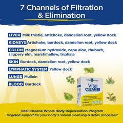 Vital Planet Vital Cleanse capsules with water illustrating a daily ritual