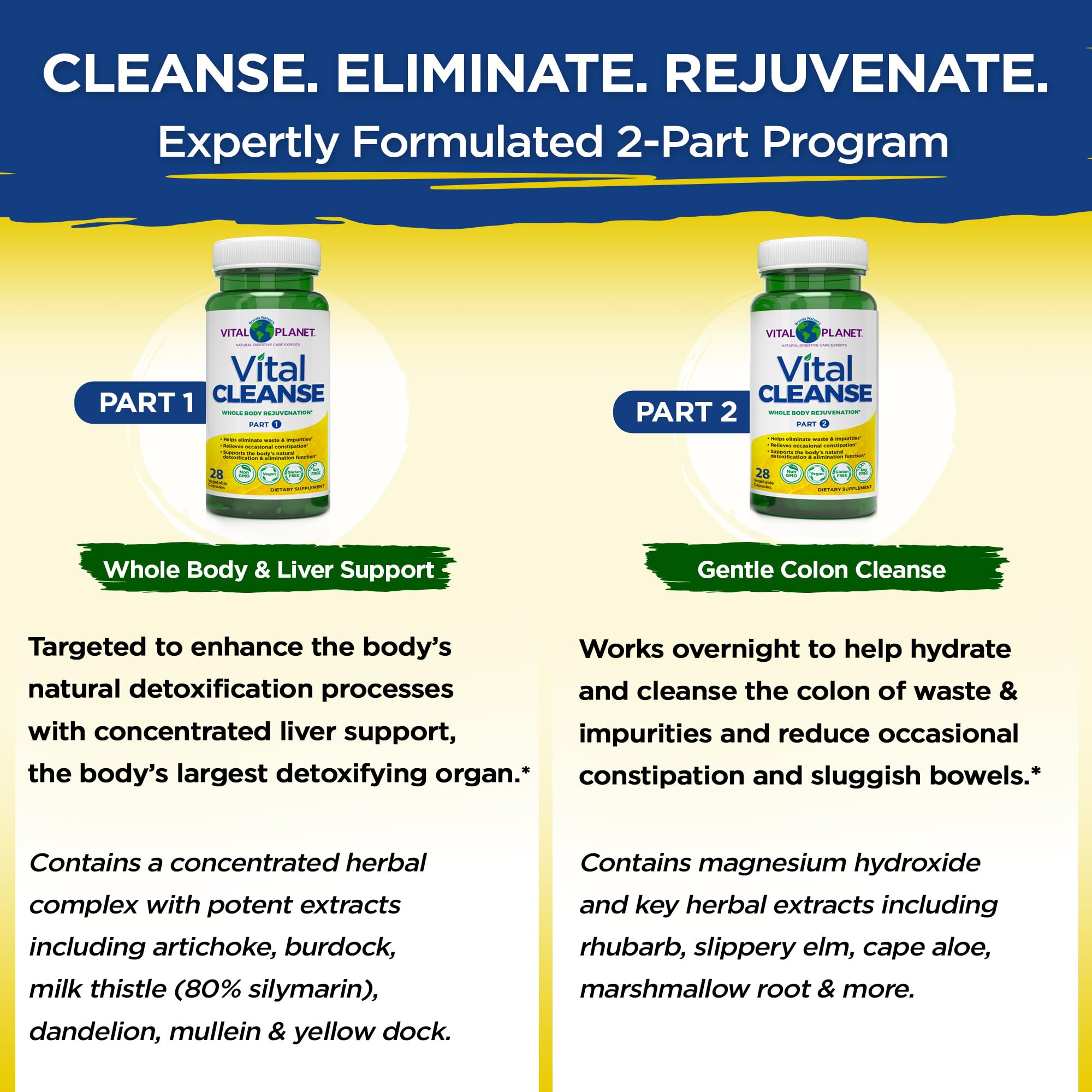 Vital Planet Vital Cleanse herbal blend featuring milk thistle for digestive support