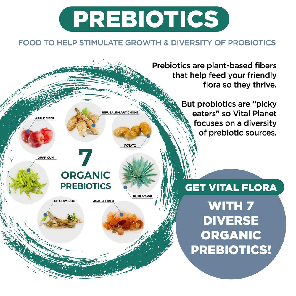 Vital Planet Vital Flora Ultra Daily in-use routine suggests easy daily supplementation.