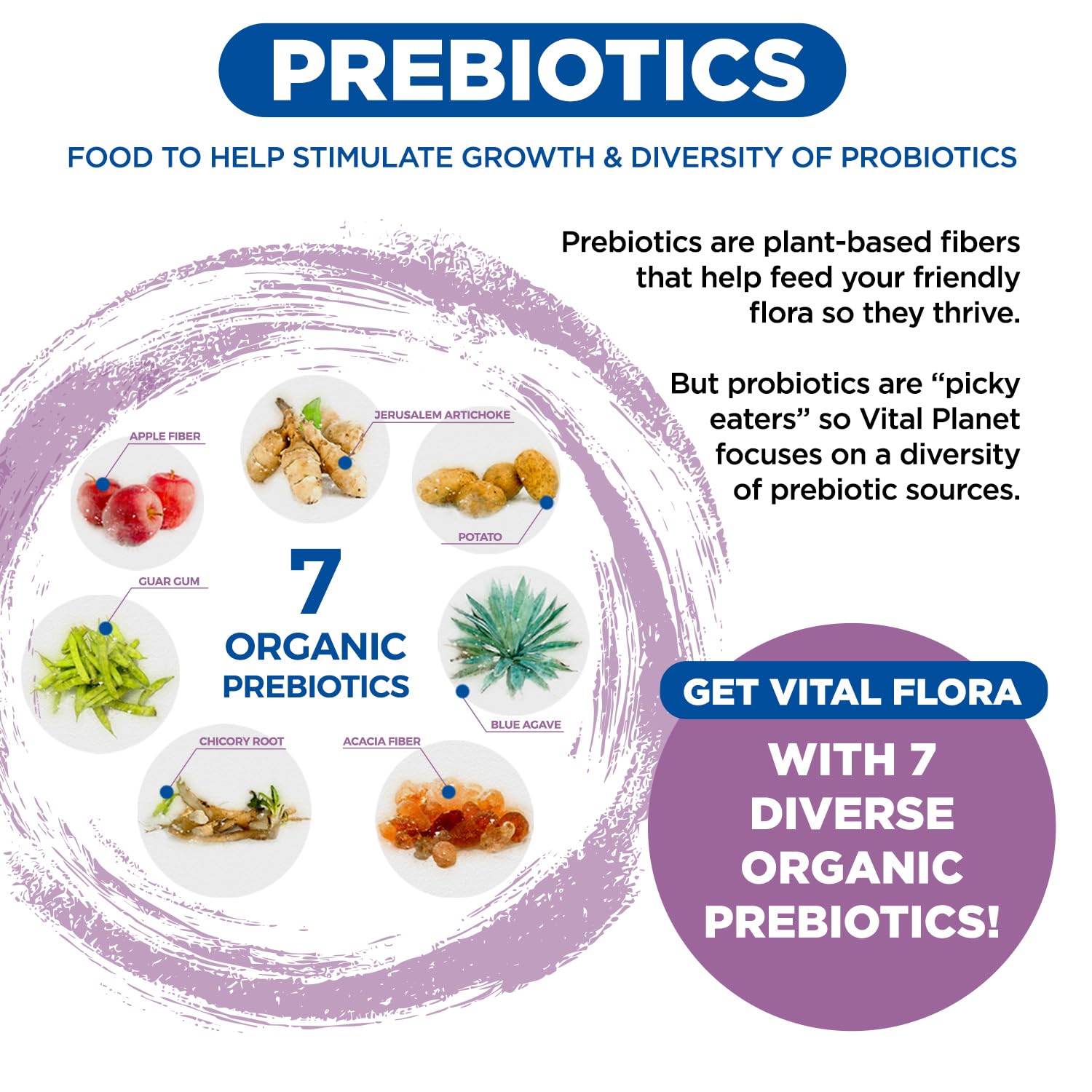 Vital Flora vaginal balance concept image suggests daily probiotic use.