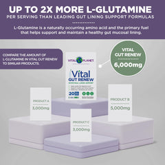 Vital Gut Renew packaging focusing on DGL licorice and ginger benefits.