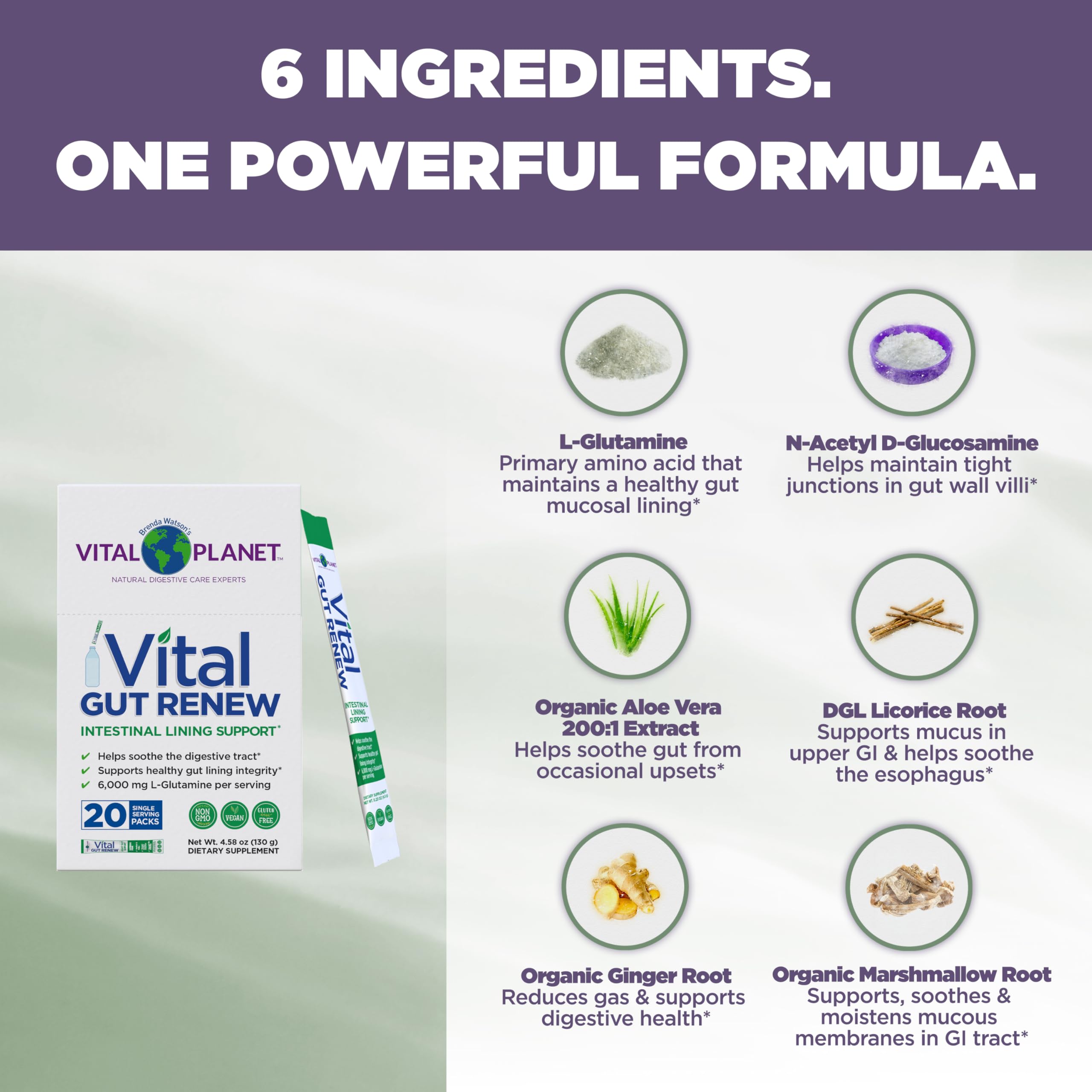 Vital Planet Vital Gut Renew displays Organic Aloe Vera for soothing digestion.
