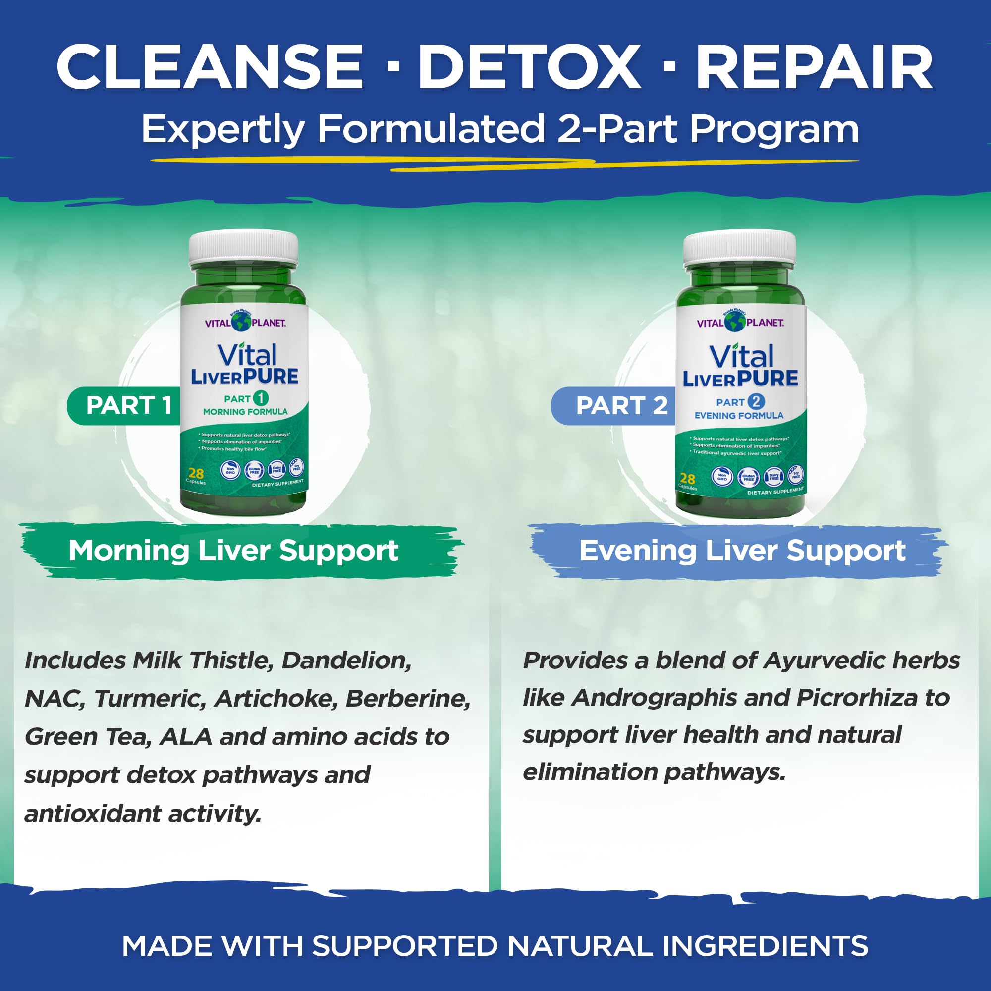 Vital LiverPure ingredients overview featuring milk thistle, dandelion, and NAC