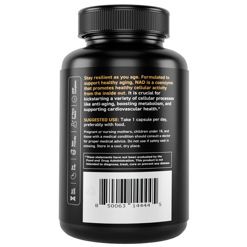 Vital Vitamins NAD day-use scene suggesting focus and energy throughout activity