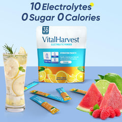 VitalHarvest on-the-go hydration in gym bag for active lifestyles