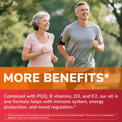 Lifestyle desk shot featuring Vitalibre vitamins for daily wellness