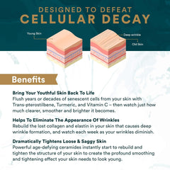 Vitalifi ReActivate label detail highlights the skin health formula