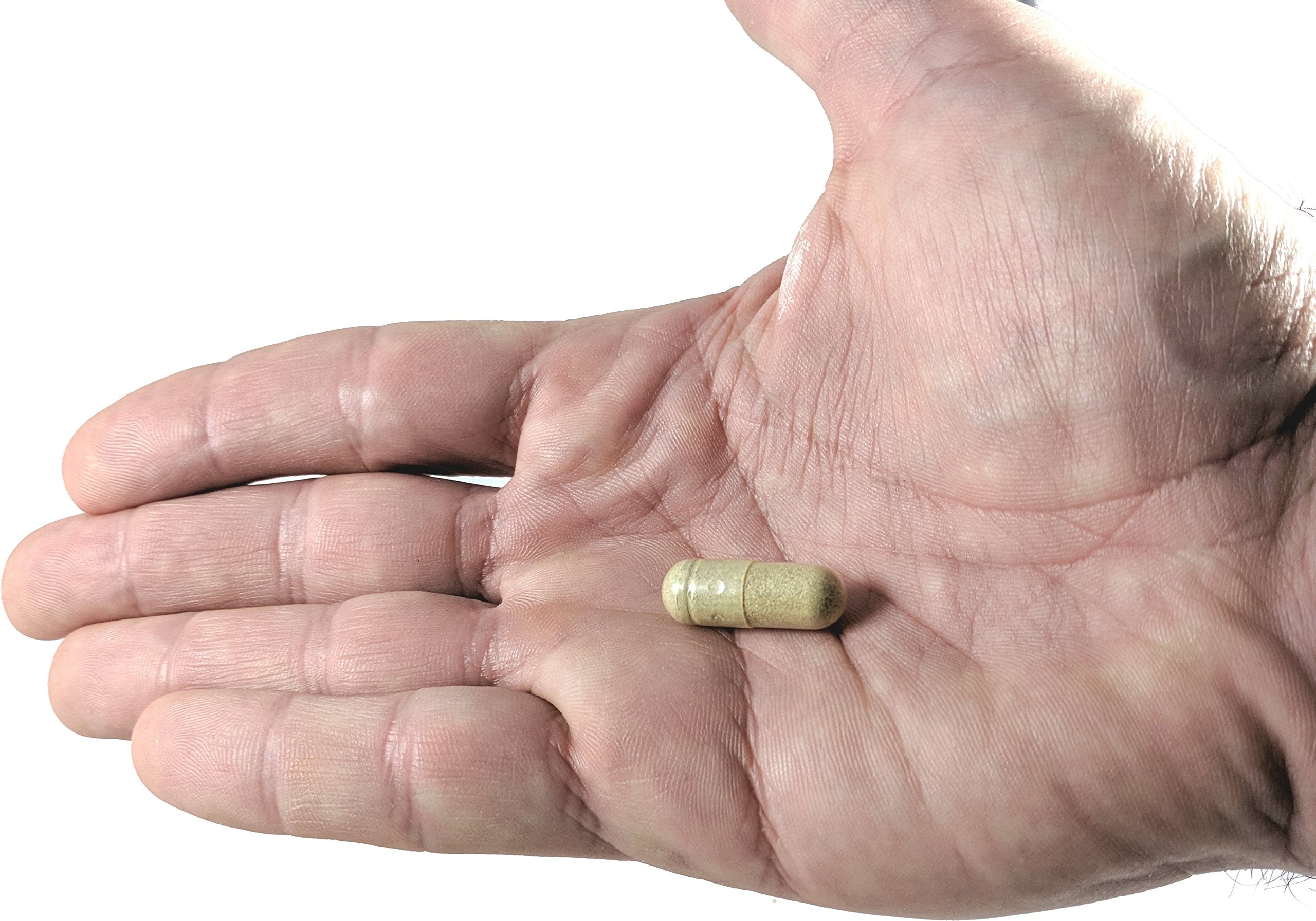 Vitalité Now 60 capsules bottle close-up for daily supplementation