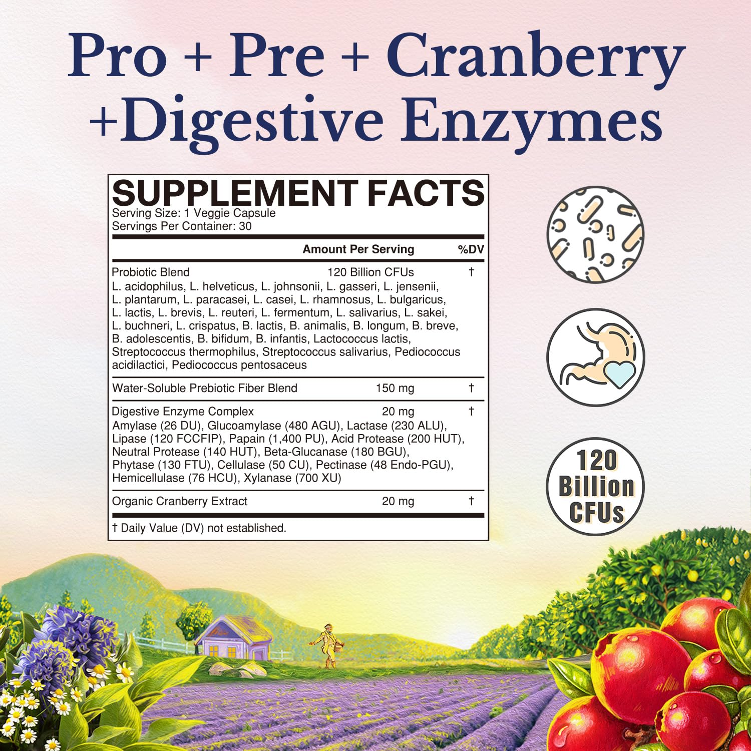 Vitalitown Probiotics for Women label close-up shows vegan formula.